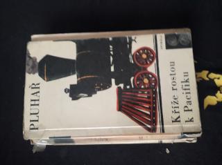Kříže rostou k Pacifiku - Zdeněk Pluhař