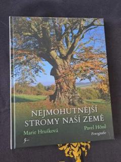Nejmohutnější stromy naší země