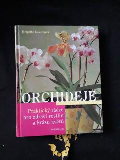 Orchideje