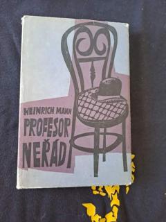 Profesor Neřád