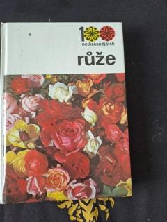 Růže