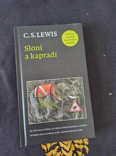 Sloni a kapradí