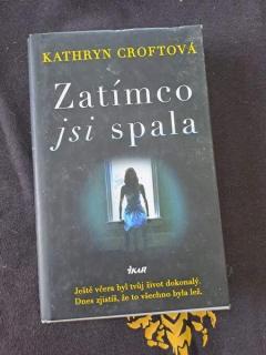 Zatímco jsi spala