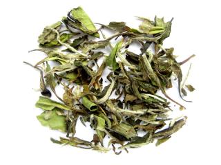 2024 Yunnan Pai Mu Tan superior - Bílá pivoňka (bio)