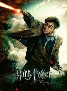 RAVENSBURGER Puzzle Harry Potter a relikvie smrti XXL 100 dílků (Puzzle Harry Potter a relikvie smrti XXL 100 dílků)