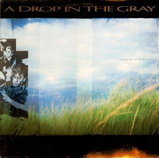 A Drop In The Gray - Certain Sculptures - LP (LP: A Drop In The Gray - Certain Sculptures)