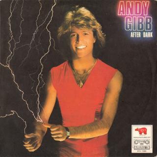 Andy Gibb - After Dark - LP / Vinyl (LP / Vinyl: Andy Gibb - After Dark)