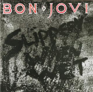 Bon Jovi - Slippery When Wet - CD (CD: Bon Jovi - Slippery When Wet)
