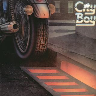 City Boy - The Day The Earth Caught Fire - LP (LP: City Boy - The Day The Earth Caught Fire)