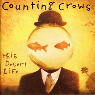 Counting Crows - This Desert Life - CD (CD: Counting Crows - This Desert Life)