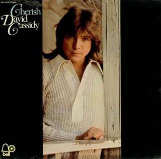 David Cassidy - Cherish - LP / Vinyl (LP / Vinyl: David Cassidy - Cherish)