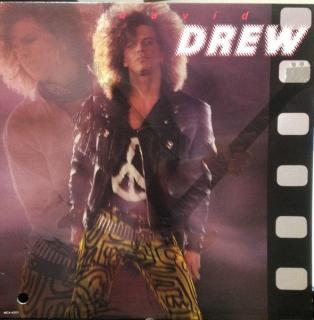 David Drew - Safety Love - LP (LP: David Drew - Safety Love)