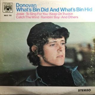 Donovan - What's Bin Did And What's Bin Hid - LP / Vinyl (LP / Vinyl: Donovan - What's Bin Did And What's Bin Hid)