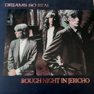 Dreams So Real - Rough Night In Jericho - LP (LP: Dreams So Real - Rough Night In Jericho)