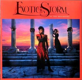 Exotic Storm - In The Beginning - LP (LP: Exotic Storm - In The Beginning)