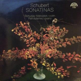 Franz Schubert - Sonatinas For Violin and Piano, Op. 137 - LP / Vinyl (LP / Vinyl: Franz Schubert - Sonatinas For Violin and Piano, Op. 137)