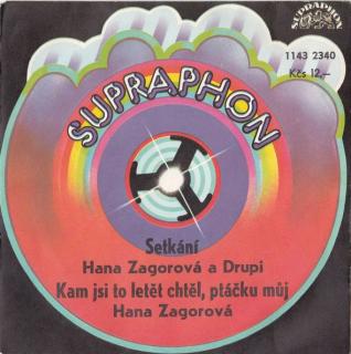 Hana Zagorová A Drupi - Setkání / Kam Jsi To Letět Chtěl, Ptáčku Můj - SP / Vinyl (SP: Hana Zagorová A Drupi - Setkání / Kam Jsi To Letět Chtěl, Ptáčku Můj)