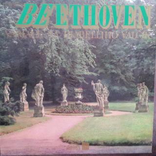 Ludwig van Beethoven - 33 Variací Na Valčík Antona Diabelliho - LP / Vinyl (LP / Vinyl: Ludwig van Beethoven - 33 Variací Na Valčík Antona Diabelliho)