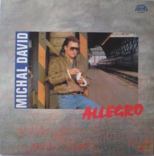 Michal David, Allegro - Michal David - Allegro - LP (LP: Michal David, Allegro - Michal David - Allegro)