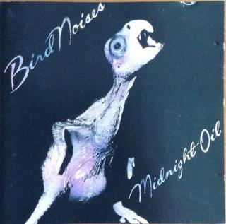 Midnight Oil - Bird Noises - CD (CD: Midnight Oil - Bird Noises)