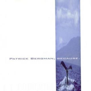 Patrick Bergman - Because - CD (CD: Patrick Bergman - Because)