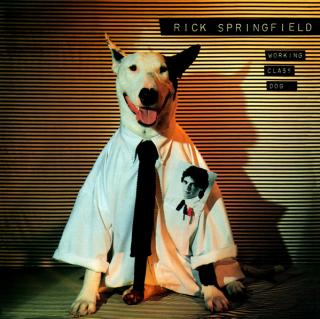 Rick Springfield - Working Class Dog - LP (LP: Rick Springfield - Working Class Dog)