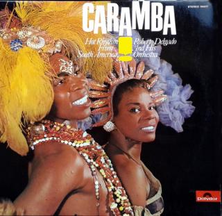 Roberto Delgado  His Orchestra - Caramba! Hot Rhythm From South America - LP (LP: Roberto Delgado  His Orchestra - Caramba! Hot Rhythm From South America)
