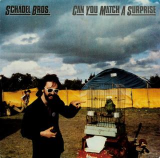 Schädel Bros. - You Can Match A Surprise - LP (LP: Schädel Bros. - You Can Match A Surprise)