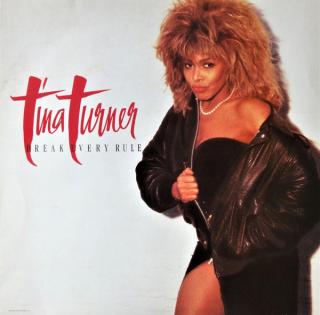 Tina Turner - Break Every Rule - LP (LP: Tina Turner - Break Every Rule)