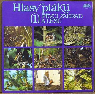 Various - Hlasy Ptáků 1 - Pěvci Zahrad A Lesů - LP (LP: Various - Hlasy Ptáků 1 - Pěvci Zahrad A Lesů)