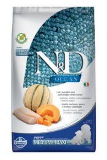 N&amp;D OCEAN DOG Puppy M/L Codfish &amp; Pumpkin&amp; Melon 2,5kg