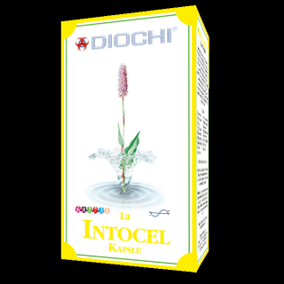 Diochi Intocel kapsle, 90 cps