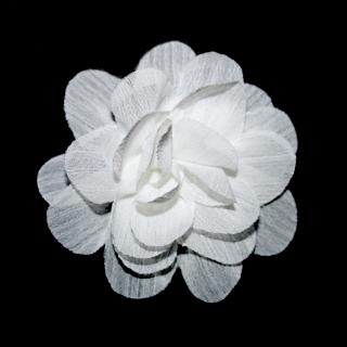 květ bílá