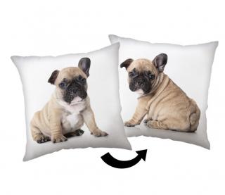 JERRY FABRICS Polštářek Bulldog  Polyester, 40/40 cm