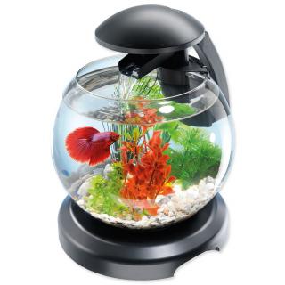 Akvárium set TETRA Cascade LED černý 25 cm