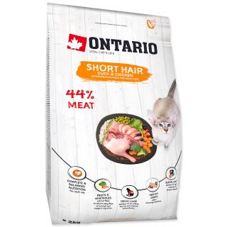 ONTARIO Cat Shorthair