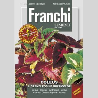 FRANCHI - OKRASNÁ ŽIHĽAVA (KOLEUS) - MIX FARIEB (1 G)