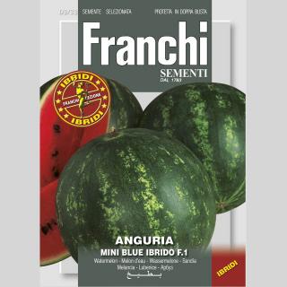 FRANCHI - SEMENÁ MELÓN VODNÝ - MINI BLUE F1 (0,25 g)