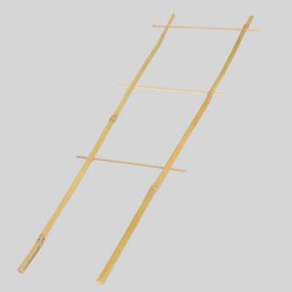 OPORNÁ MRIEŽKA NA POPÍNAVÉ RASTLINY Z BAMBUSU (50 CM)