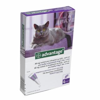 Advantage spot-on kočka 4kg a více (fialový)