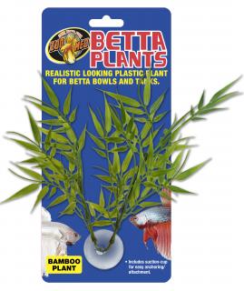 Betta Plant – Bambus