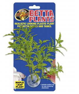 Betta Plant – Javorový list