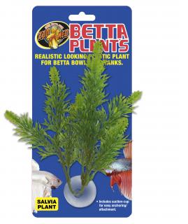 Betta Plant – Šalvěj