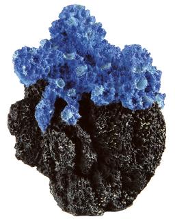 FERPLAST akvarijní dekorace - korál modrý