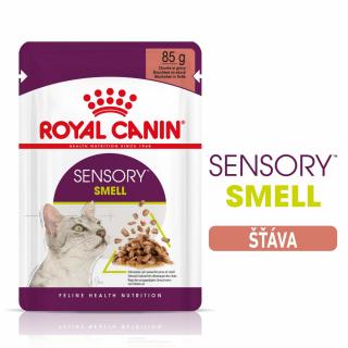Royal Canin kapsička FHN Sensory Smell ve šťávě 12 x 85 g