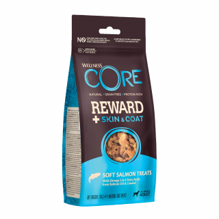 Wellness Core Reward Dog Skin and Coat losos 170 g