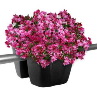 Květináč na balkónové zábradlí Crown 240 - barva antracit