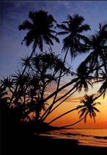 Čtyřdílná fototapeta Sunset beach, 183x254 cm, skladem poslední 2 ks!!!