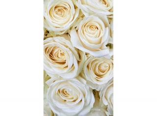Dvoudílná vliesová fototapeta Bílé růže, rozměr 150x250cm, MS-2-0137