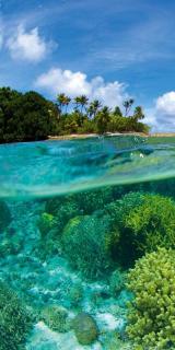 Dvoudílná vliesová fototapeta Korálový útes, rozměr 150x250cm, MS-2-0200